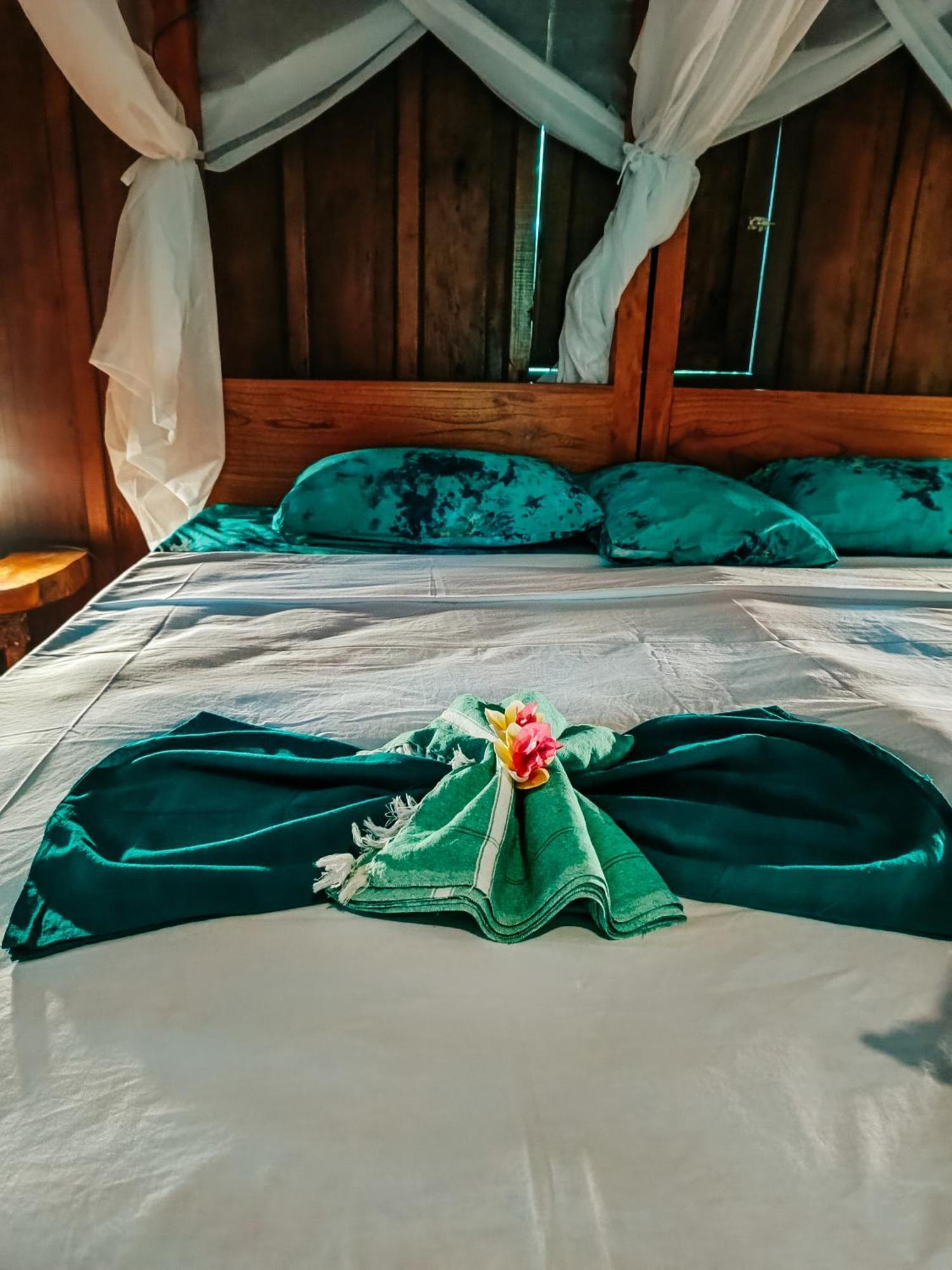 Lodge Alaya