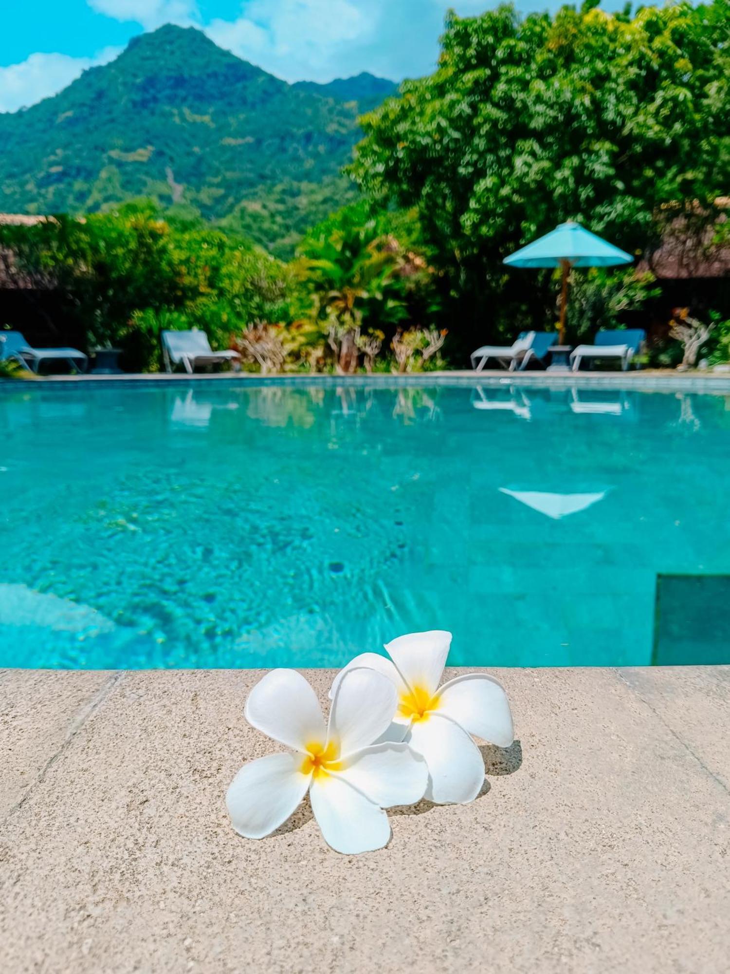 Alaya Lodge